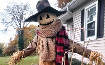 My Wife Found the Clothes She Knitted on a Scarecrow – I Turned It Into a Lesson