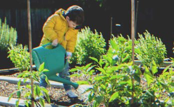 Boy Promises to Water Old Lady's Plants after She Moves to Nursing Home, Finds Note Left in Soil – Story of the Day