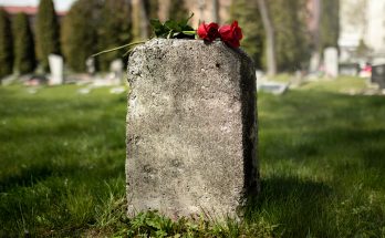 I Saw a Woman Throwing away the Flowers I Placed on My Mom's Grave – Her Truth Altered My Life