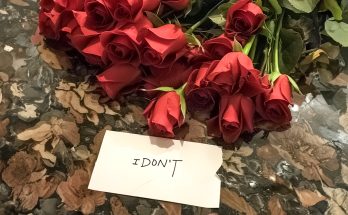 The Night before Our Wedding, My Fiancé Sent Me a Bouquet with a Note That Said 'I Don't'